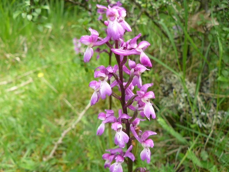 2008 05 Séjour à Martel 23